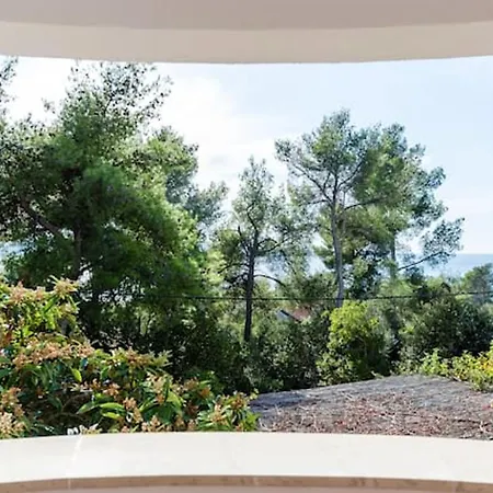 One Bedroom With Wifi At * Zavala