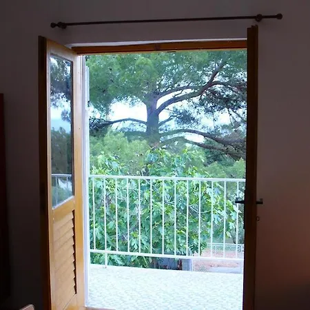 公寓 Apartment Ivan Dolac 伊万多拉克